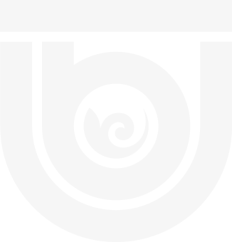 Baishev University
